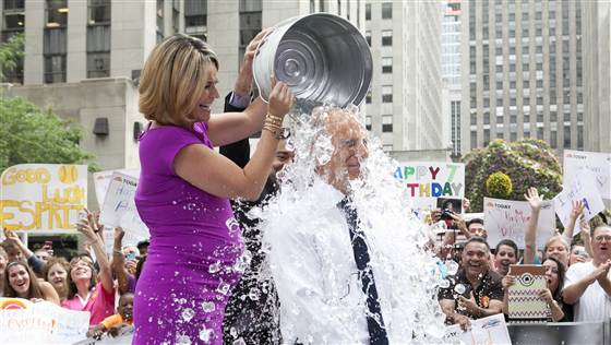 TODAY Show: Matt Lauer participates in the viral sensation known as the